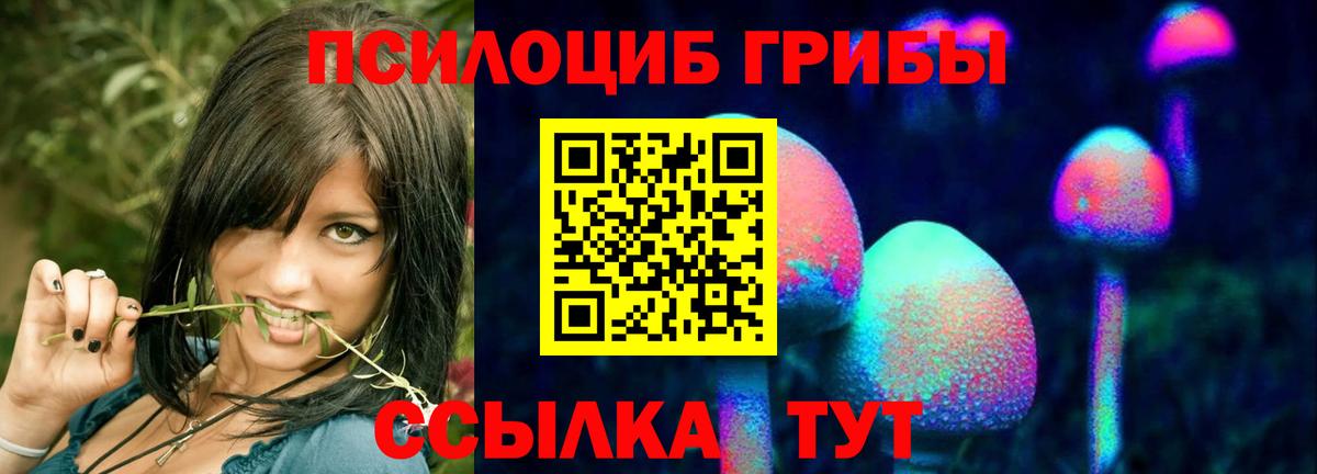 Галлюциногенные грибы ЛСД Гусь-Хрустальный